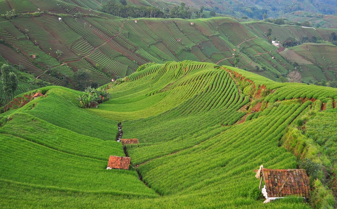 Panyaweuyan